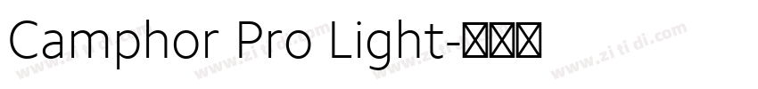 Camphor Pro Light字体转换